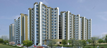 rangoli greens, manglam build-developers limited