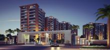 resizone elanza, resizone group