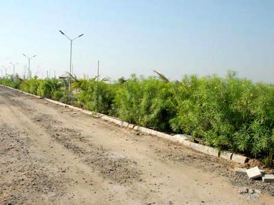 residential land, ahmedabad, bagodara, image