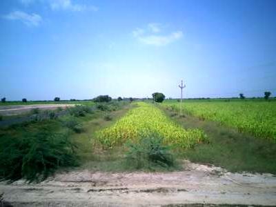 residential land, ahmedabad, bavla nalsarovar road, image