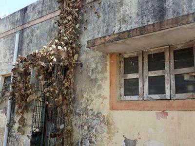 house / villa, ahmedabad, bhadaj, image