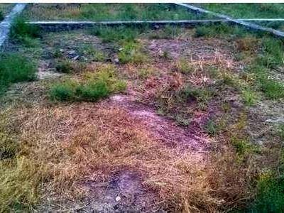 residential land, ahmedabad, dhandhuka, image