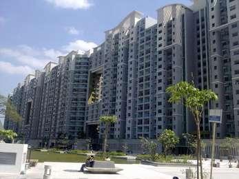 flat / apartment, bangalore, rajaji nagar, image
