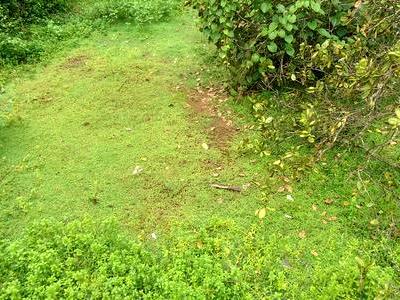 , Bangalore, image