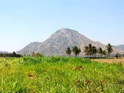 residential land, bangalore, chikkaballapur, image