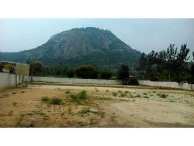 residential land, bangalore, nandi hills, image