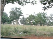residential land, bangalore, narasapura, image