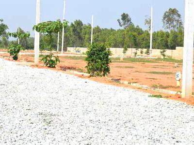 residential land, bangalore, narasapura, image