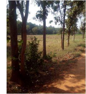 residential land, bangalore, gauribidanur, image