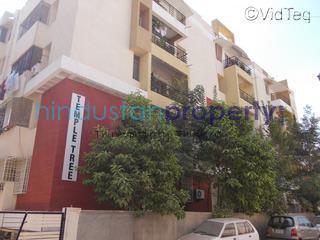 flat / apartment, bangalore, banashankari, image