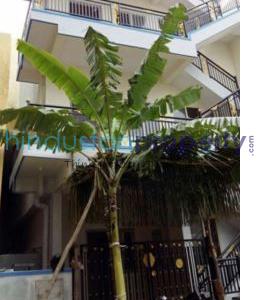 builder floor, bangalore, banashankari, image