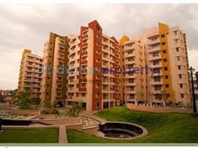 flat / apartment, bangalore, kalena agrahara, image