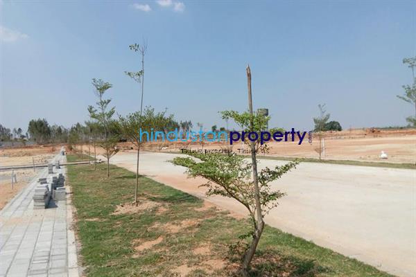, Bangalore, image
