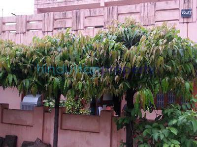 house / villa, bhopal, habib ganj, image