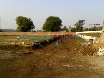 farm house, bhopal, phanda, image