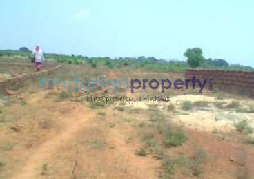 residential land, bhubaneswar, chandaka, image