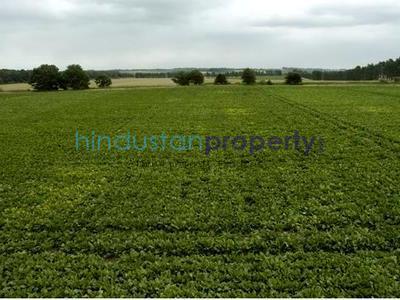 1 RK , Bhubaneswar, image