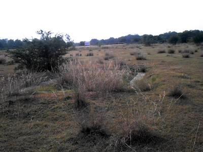 residential land, chennai, thiruvallur road, image