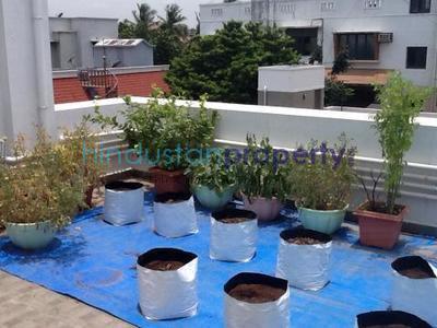 flat / apartment, chennai, adyar, image