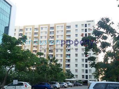 flat / apartment, chennai, thoraipakkam, image