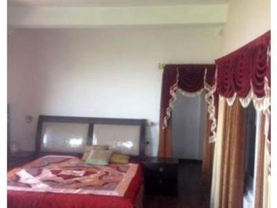 flat / apartment, delhi-ncr, sector-85, image