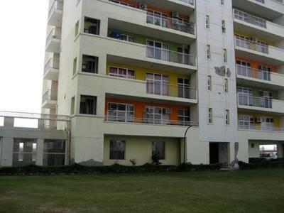 flat / apartment, delhi-ncr, sector-10, image