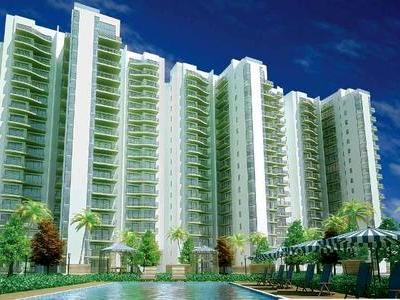 flat / apartment, delhi-ncr, sector-80, image