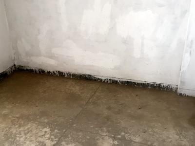  1 BHK , Delhi-NCR, image