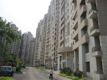 flat / apartment, delhi-ncr, sector-50, image