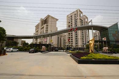 house / villa, delhi-ncr, sector-50, image