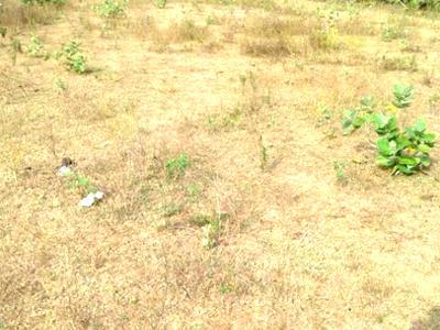 residential land, hyderabad, narsapur highway, image