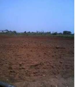 residential land, hyderabad, narsapur highway, image