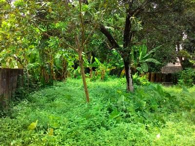 residential land, kochi, ernakulam, image