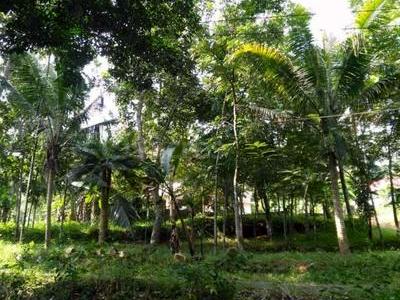 residential land, kochi, ernakulam, image