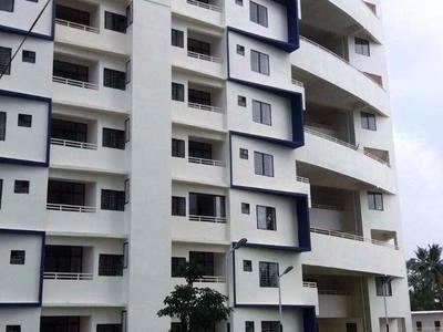flat / apartment, kochi, ernakulam, image