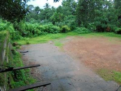 residential land, kochi, ernakulam, image