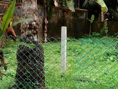 residential land, kochi, ernakulam, image