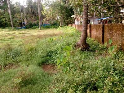 residential land, kochi, ernakulam, image