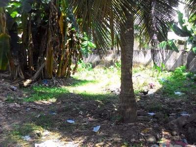 residential land, kochi, vyttila, image