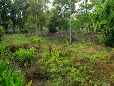 residential land, kochi, paravoor road, image