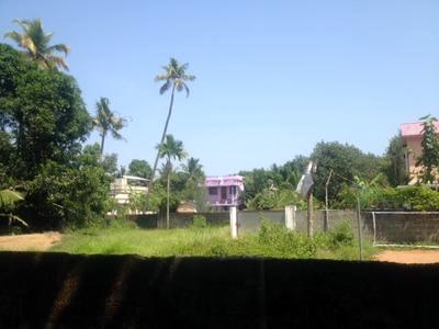 , Kochi, image