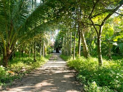 , Kochi, image