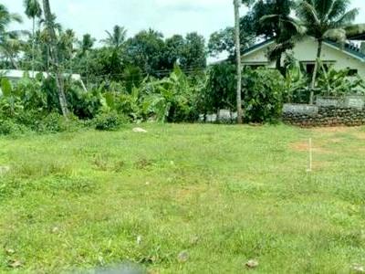 residential land, kochi, kothamangalam, image