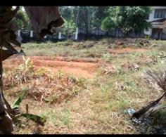 residential land, kochi, kothamangalam, image