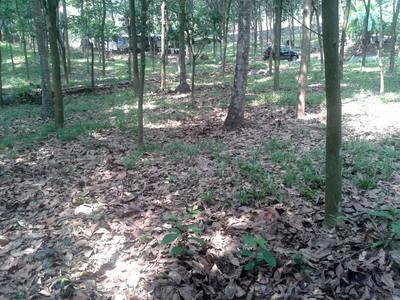 residential land, kochi, kothamangalam, image