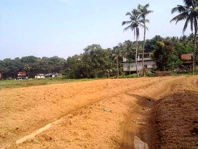 residential land, kochi, kothamangalam, image