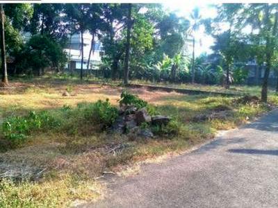 residential land, kochi, karukutty, image