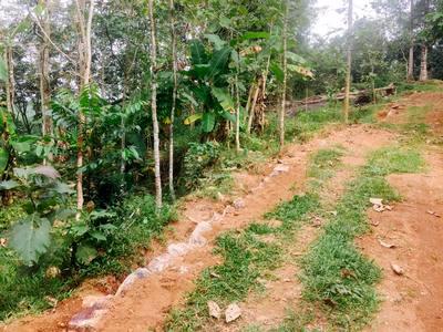 residential land, kochi, koothattukulam, image