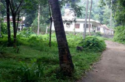 residential land, kochi, koothattukulam, image