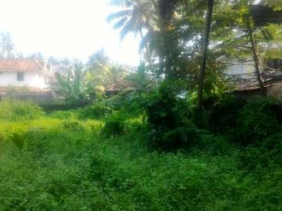 residential land, kochi, elamkulam, image